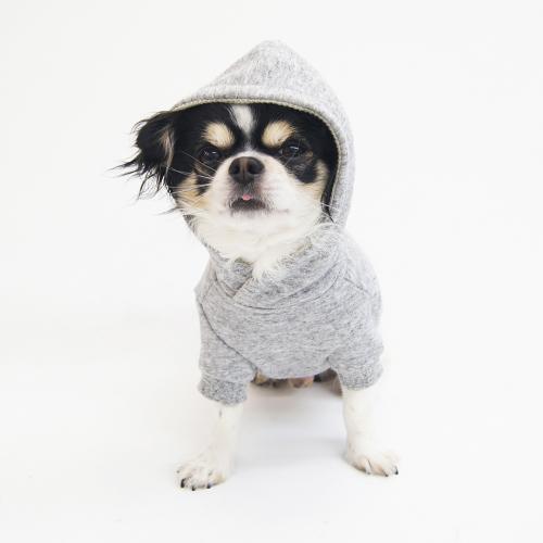 原型袖セットインスリーブパーカ