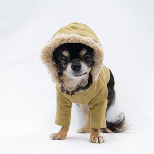 ハイクオリティアウター