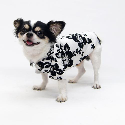 ニット生地で作る半袖シャツ