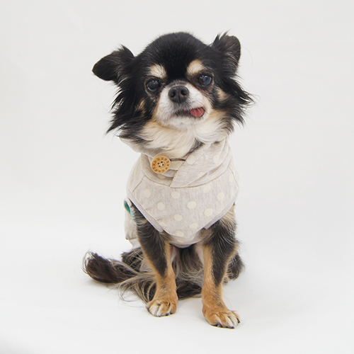 モイフーディパーカ