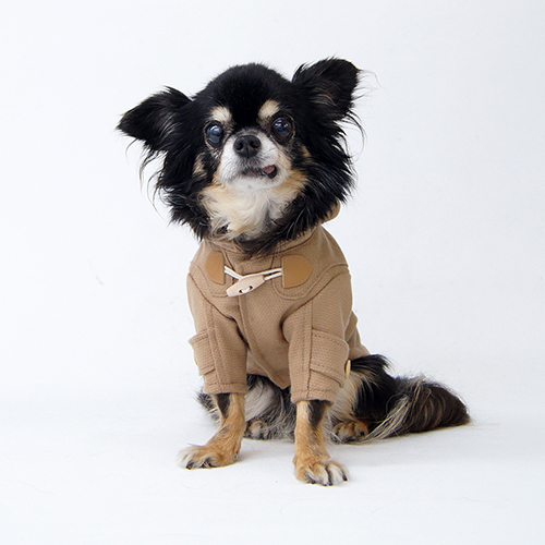 モンティコート