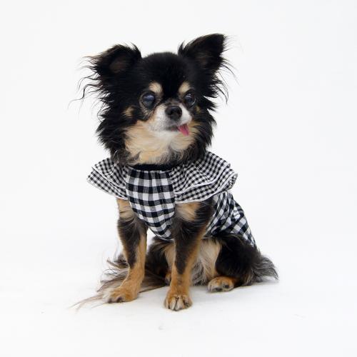 ティアードスリーブスモック